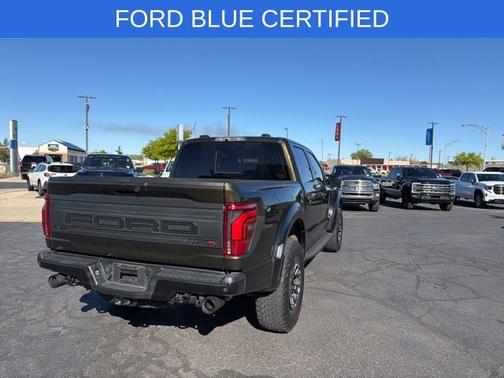 SHELTER GREEN 2024 Ford F-150 RAPTOR
