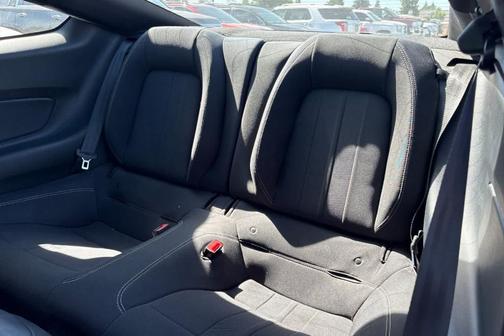Magnetic Metallic 2020 Ford Mustang GT
