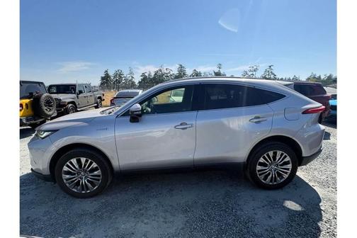 Titanium Glow 2021 Toyota Venza XLE