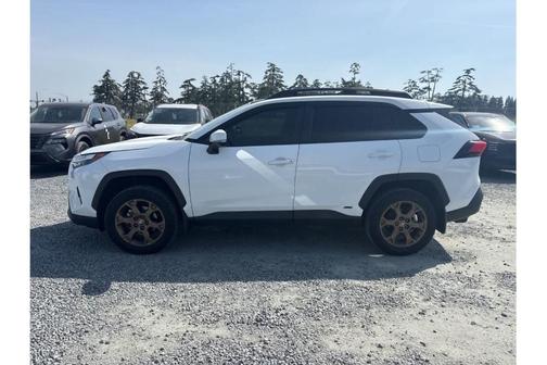 2023 Toyota RAV4 Hybrid Woodland Edition