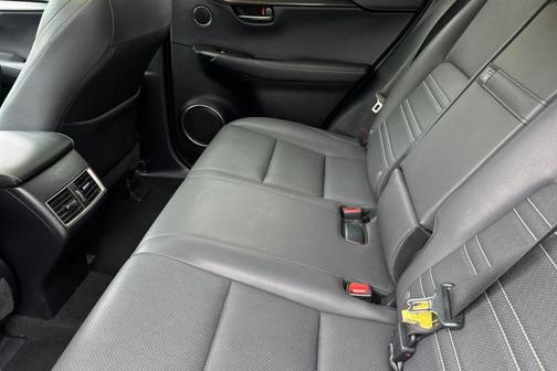 2019 Lexus NX 300 NX 300 F SPORT