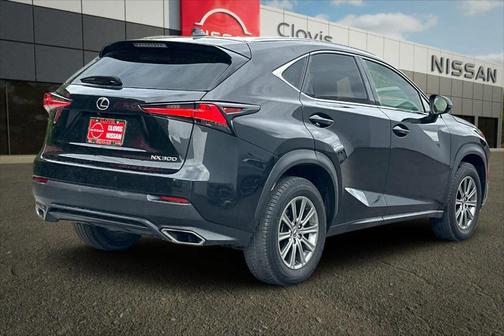 2019 Lexus NX 300 NX 300 F SPORT