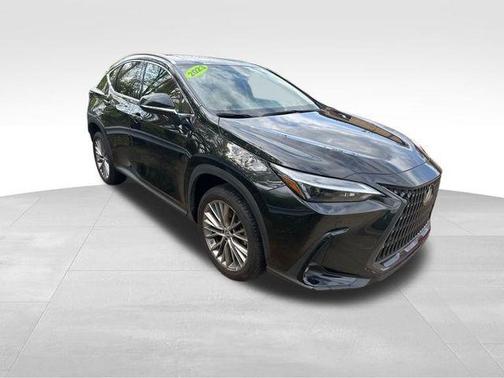 2023 Lexus NX 350 Premium