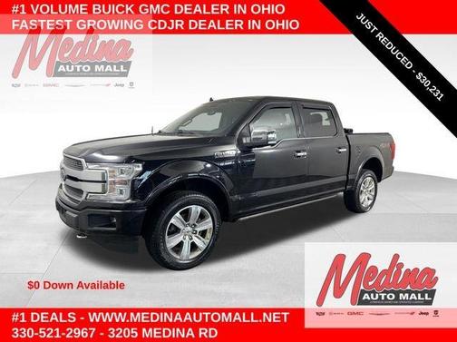 Agate Black Metallic 2019 Ford F-150 Platinum