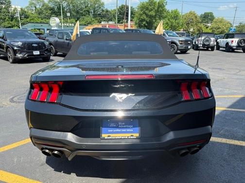 2024 Ford Mustang ECOBOOST