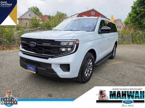 SPACE SILVER METALLIC 2025 Ford Expedition ACTIVE