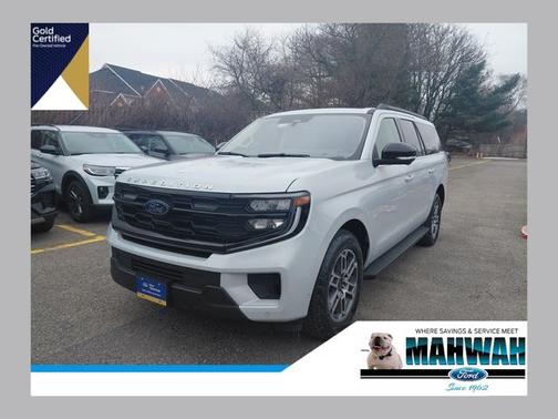 SPACE SILVER METALLIC 2025 Ford Expedition ACTIVE