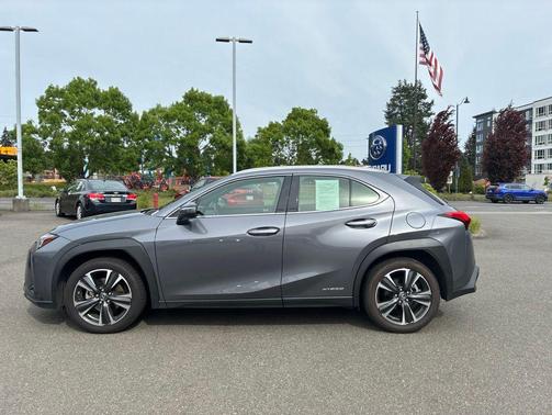 Gray Pearl 2019 Lexus UX 250h Base