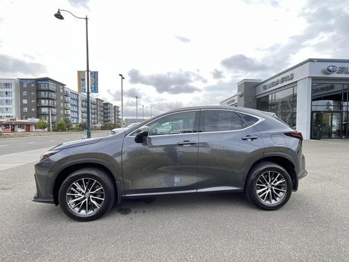 2022 Lexus NX 350 350 Base