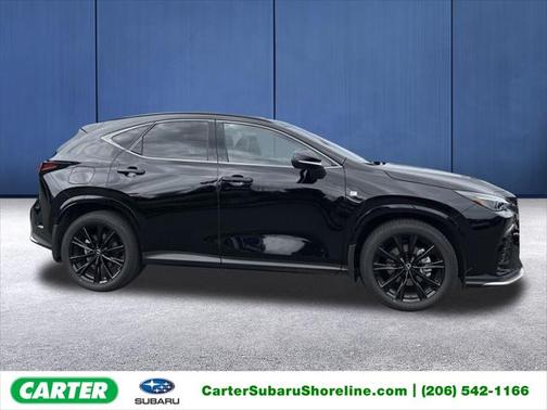 2024 Lexus NX 450h+ F SPORT Handling