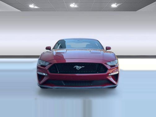 Red 2019 Ford Mustang GT