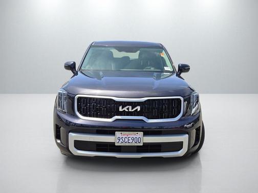 Panthera Metal 2025 Kia Telluride LX