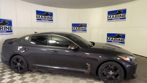 Panthera Metal 2020 Kia Stinger GT-Line