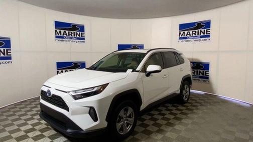 Ice Cap 2024 Toyota RAV4 Hybrid XLE