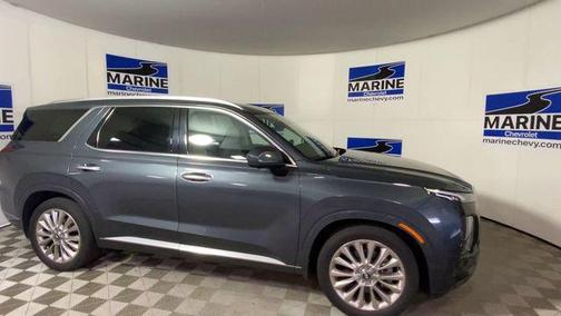 Steel Graphite 2020 Hyundai PALISADE Limited