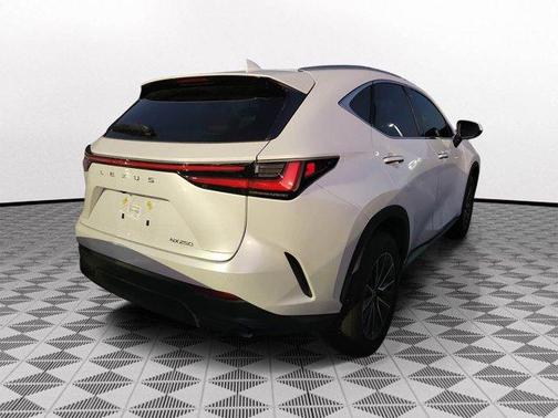 2025 Lexus NX 250 Premium