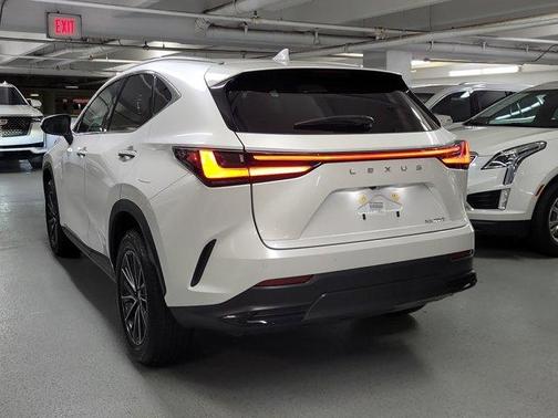 2025 Lexus NX 250 Premium