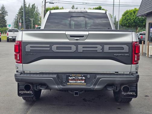 Ingot Silver 2019 Ford F-150 Raptor