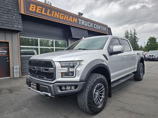 Ingot Silver 2019 Ford F-150 Raptor