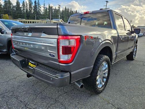 2021 Ford F-150 Platinum