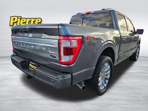 2021 Ford F-150 Platinum