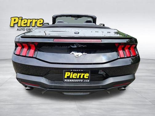 Shadow Black 2025 Ford Mustang EcoBoost Premium