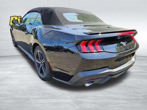 Shadow Black 2025 Ford Mustang EcoBoost Premium