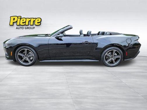 Shadow Black 2025 Ford Mustang EcoBoost Premium