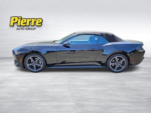 Shadow Black 2025 Ford Mustang EcoBoost Premium