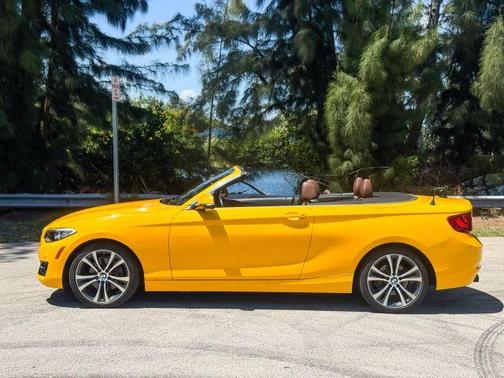 2017 BMW 230 i