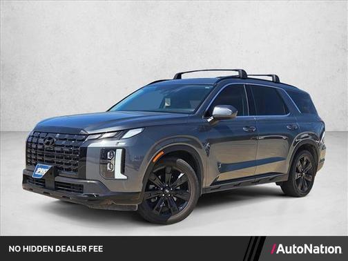 Steel Graphite 2024 Hyundai PALISADE XRT