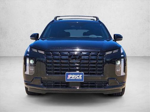 Abyss Black Pearl 2025 Hyundai PALISADE Calligraphy Night Edition