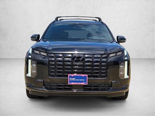 Abyss Black Pearl 2025 Hyundai PALISADE Calligraphy Night Edition