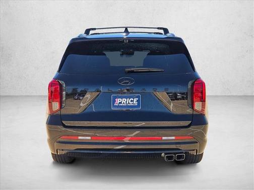 Abyss Black Pearl 2025 Hyundai PALISADE Calligraphy Night Edition