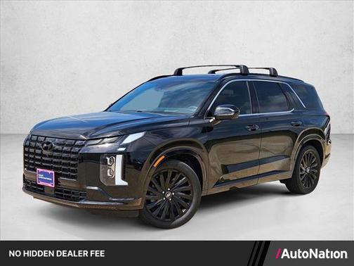 Abyss Black Pearl 2025 Hyundai PALISADE Calligraphy Night Edition