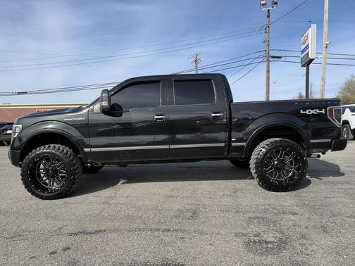 2010 Ford F-150 Platinum