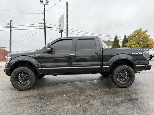 2010 Ford F-150 Platinum