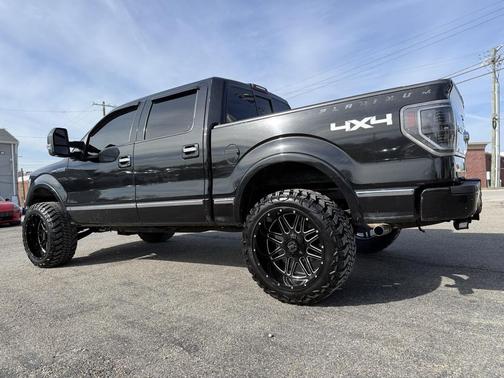 2010 Ford F-150 Platinum