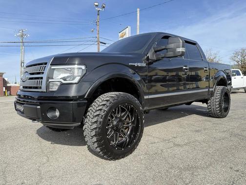 2010 Ford F-150 Platinum