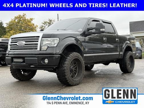 2010 Ford F-150 Platinum