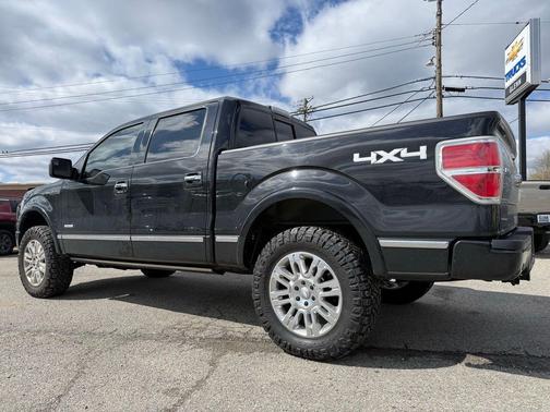 2013 Ford F-150 Platinum