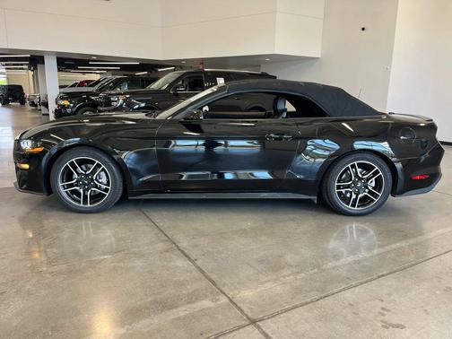 Shadow Black 2023 Ford Mustang EcoBoost Premium