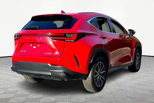 2025 Lexus NX 250 Premium