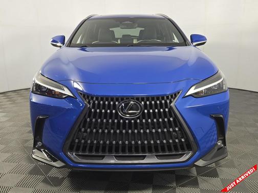 2023 Lexus NX 250 Premium