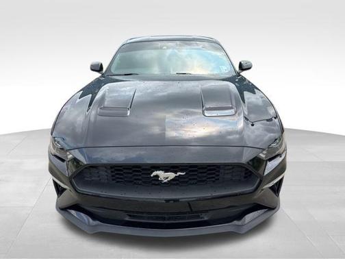 2022 Ford Mustang EcoBoost