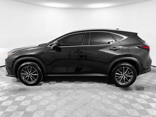 2024 Lexus NX 250 Base