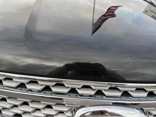 2021 Ford Expedition Max Platinum