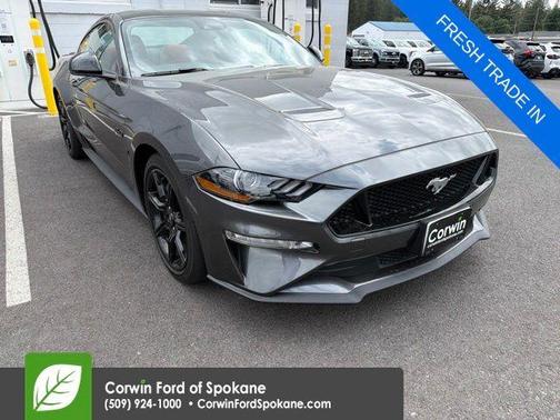 Magnetic Metallic 2019 Ford Mustang GT Premium