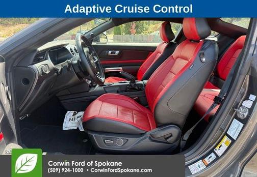Magnetic Metallic 2019 Ford Mustang GT Premium