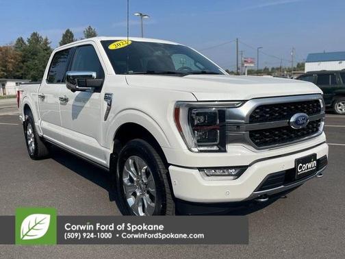 2022 Ford F-150 Platinum